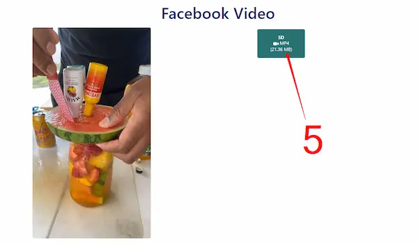 Choose The Facebook Video Format