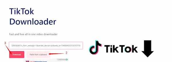 TikTok Video Downloader Without Watermark URL MP4   Step 2 TikTok Video Downloader.webp