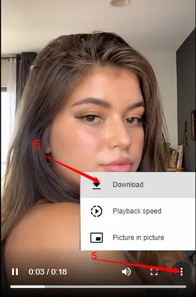 step 4 TikTok Video Downloader